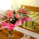 Hotell Capri 3s 3*